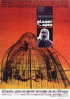 The Planet of the Apes Poster